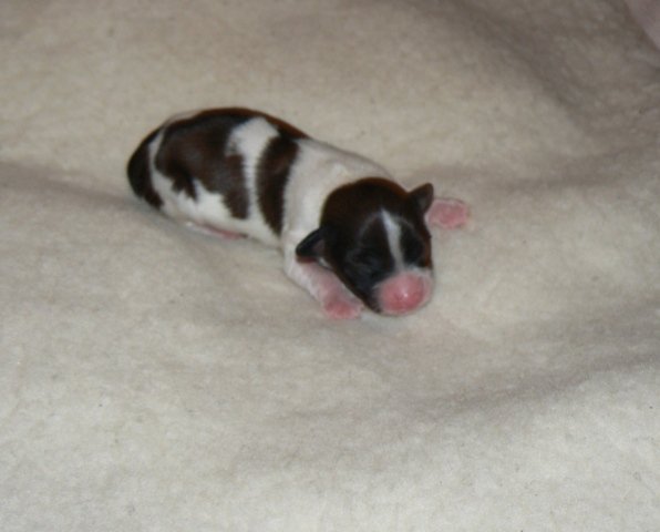 143g