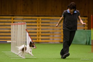 201301-agility-kladno-4820.jpg